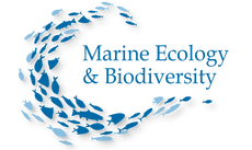 The Belmaker Lab<br />&nbsp;<br />Marine Ecology &amp; Biodiversity